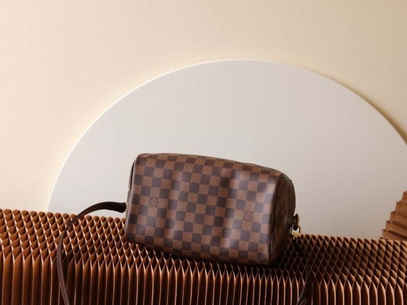 LV Speedy Bags